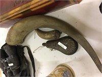 horn and other vintage items