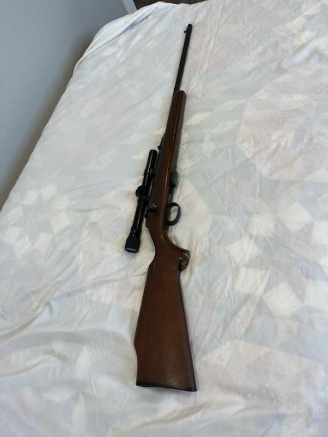 Remington Model 591M