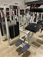 Life Fitness Pro1 Pin-Select Back Extension
