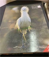 Poster size book - Birds of the World. Measures 24