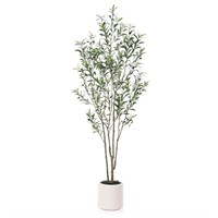 N2222  DR.Planzen 7FT Olive Tree & 10.6" Planter