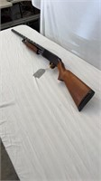 Westernfield 20 Gauge Shotgun