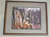 FRAMED & MATTED GOOSE PHOTO