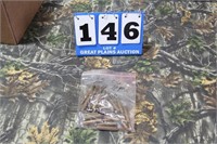 Bag .25-06 Ammunition