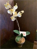 30 “ FAUX WHITE ORCHID PLANT IN CLAY POT