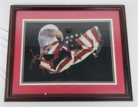 Eagle & USA Flag Framed Art