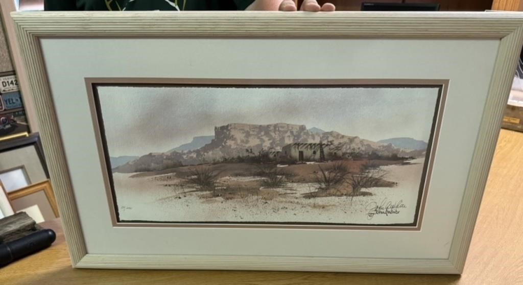 Framed John White Print