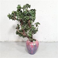 Large multi color vase with faux jade plant