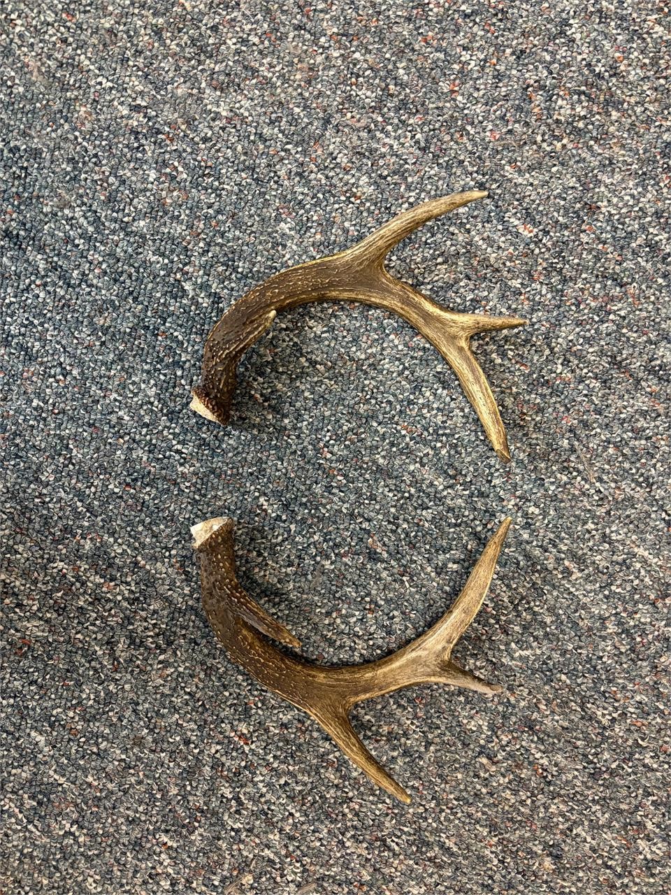 Antler