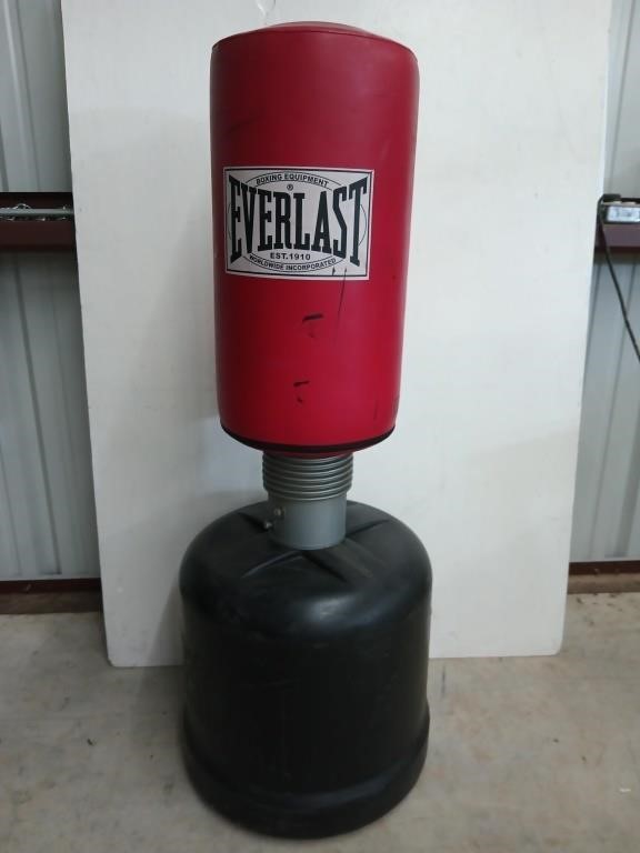 Everlast pedestal punching bag