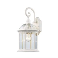 Trans Globe 1-Light White Outdoor Wall Lantern