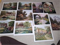 11 PC 8X10 PRINTS BY VIOLET SCHWENIG