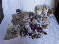 Misc. Rocks and Shells