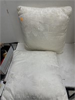 2 Pillows