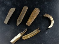 Collection of tusks: ancient walrus, ancient warth