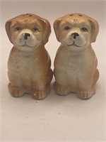 Salt & Pepper Shaker Set