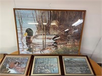Waterfowl framed pics