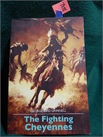 The Fighting Cheyenne ©1915