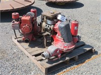 Assorted Pumps and More