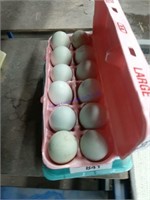 12 Fertile F1 Olive Egger Eggs