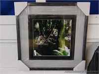 Deer in the Woods Picture in Frame