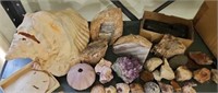 Agates, Geodes, Shells