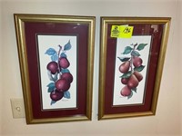 PAIR OF FRUIT THEMED FINISHED PRINTS 13 IN X 21 IN