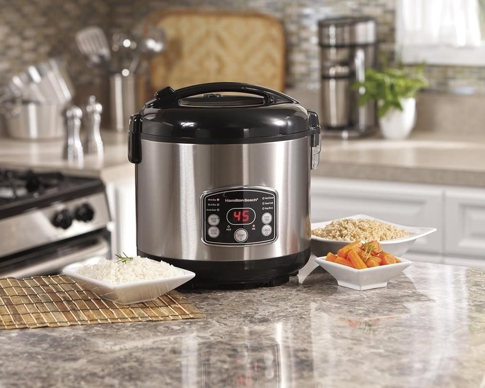 Hamilton Beach Rice and Hot Cereal Cooker