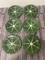 Cabbage Green Salad Plates