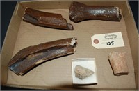 Pre-Historic Glazed Bone Fossils & Other Fossils