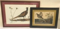 Lot of 2 Framed Bird Prints