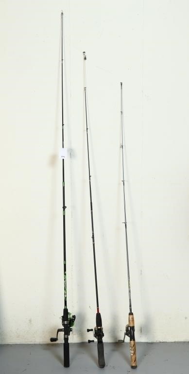 Lot of fishing rods