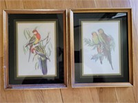 2 FRAMED BIRD PICTURES, 9 3/4" X 7 3/4"