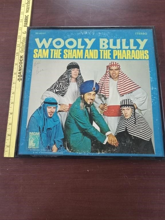Wooly bully framed album
