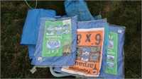 Tote Full of Tarps-various sizes