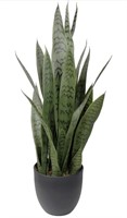 Nice nature artificial snake plant unused