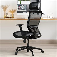 FLEXISPOT Ergonomic Office Chair