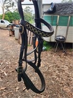 (Private) BRIDLE full