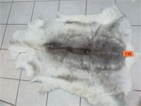 Grey Wolf / Coyote Tanned Animal Skin Pelt / Rug