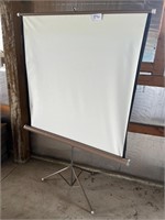 Projector screen on stand