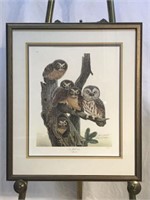 "Saw Whet Owls" Signed Lithograph by John Ruthven