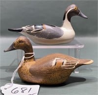 PR CLARENCE BAUER PINTAILS