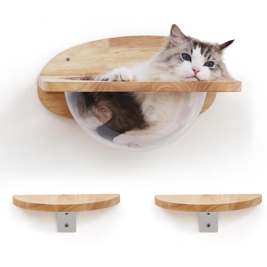 FUKUMARU Cat Wall Furniture Set, Transparent
