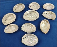 Natural Mother of Pearl Clam Half Shells [x10]
