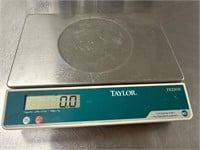 Taylor Digital Scale TE22