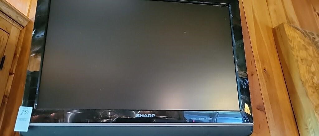 Sharp TV 22 inch Screen