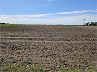 Farmland - approx 32 Ac