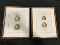 4 Apple, Pear ID Framed Prints.