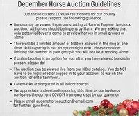 Horse Auction COVID19 Guidelines