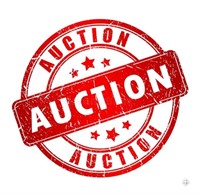 AUCTION STARTS SATURDAY 06/08/2024 @ 6:05 PM (MST)